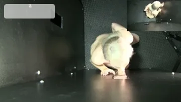 Gloryhole Secrets: HD Porn Meets Explicit Milf