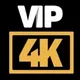 VIP 4K