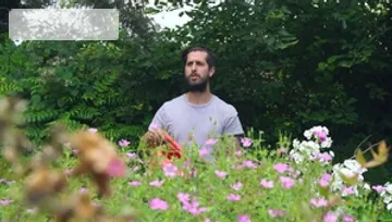 Brazzers: Jordi's Quest for Wild Sluts